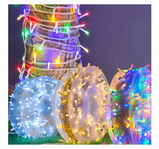 <img src='photo/Z/JZ102634.jpg'width='400' height='300'>