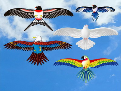 <img src='photo/Z/JZ116147.jpg'width='400' height='300'>