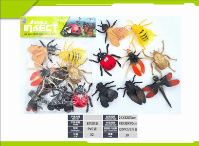 <img src='photo/Z/JZ120503.jpg'width='400' height='300'>