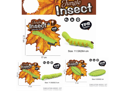 <img src='photo/Z/JZ123397.jpg'width='400' height='300'>