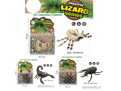 <img src='photo/Z/JZ123403.jpg'width='400' height='300'>