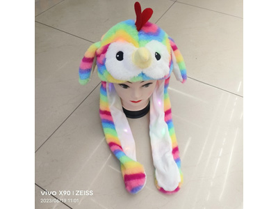 <img src='photo/Z/JZ123541.jpg'width='400' height='300'>