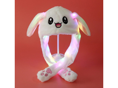 <img src='photo/Z/JZ123548.jpg'width='400' height='300'>