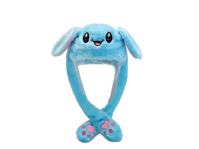 <img src='photo/Z/JZ123550.jpg'width='400' height='300'>