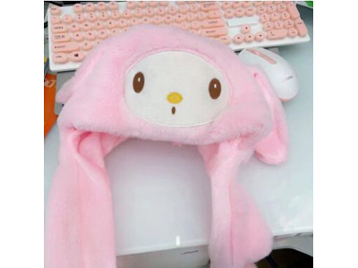 <img src='photo/Z/JZ123567.jpg'width='400' height='300'>