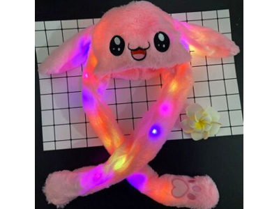 <img src='photo/Z/JZ123584.jpg'width='400' height='300'>