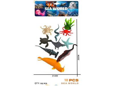 <img src='photo/Z/JZ123591.jpg'width='400' height='300'>