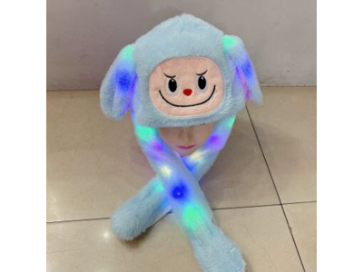 <img src='photo/Z/JZ123603.jpg'width='400' height='300'>