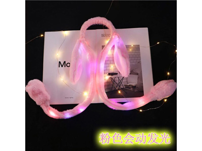 <img src='photo/Z/JZ123610.jpg'width='400' height='300'>