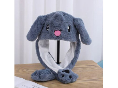 <img src='photo/Z/JZ123619.jpg'width='400' height='300'>