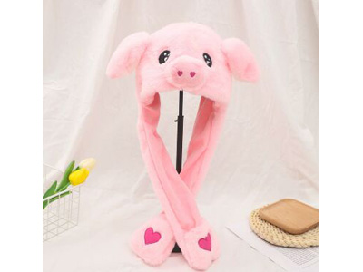 <img src='photo/Z/JZ123620.jpg'width='400' height='300'>