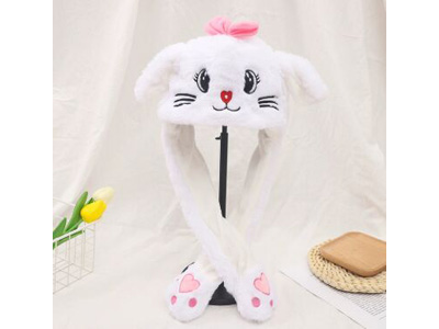 <img src='photo/Z/JZ123626.jpg'width='400' height='300'>