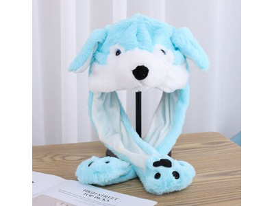 <img src='photo/Z/JZ123648.jpg'width='400' height='300'>