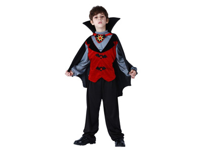 <img src='photo/Z/JZ123801.jpg'width='400' height='300'>