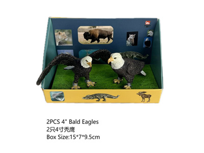 <img src='photo/Z/JZ124495.jpg'width='400' height='300'>