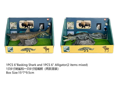 <img src='photo/Z/JZ124498.jpg'width='400' height='300'>