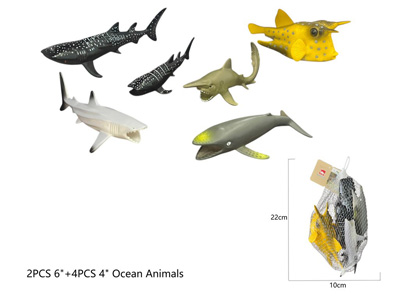 <img src='photo/Z/JZ124517.jpg'width='400' height='300'>