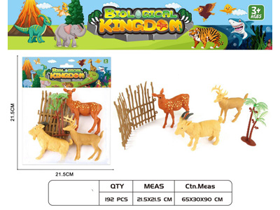 <img src='photo/Z/JZ124625.jpg'width='400' height='300'>