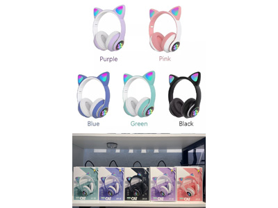 <img src='photo/Z/JZ124691.jpg'width='400' height='300'>