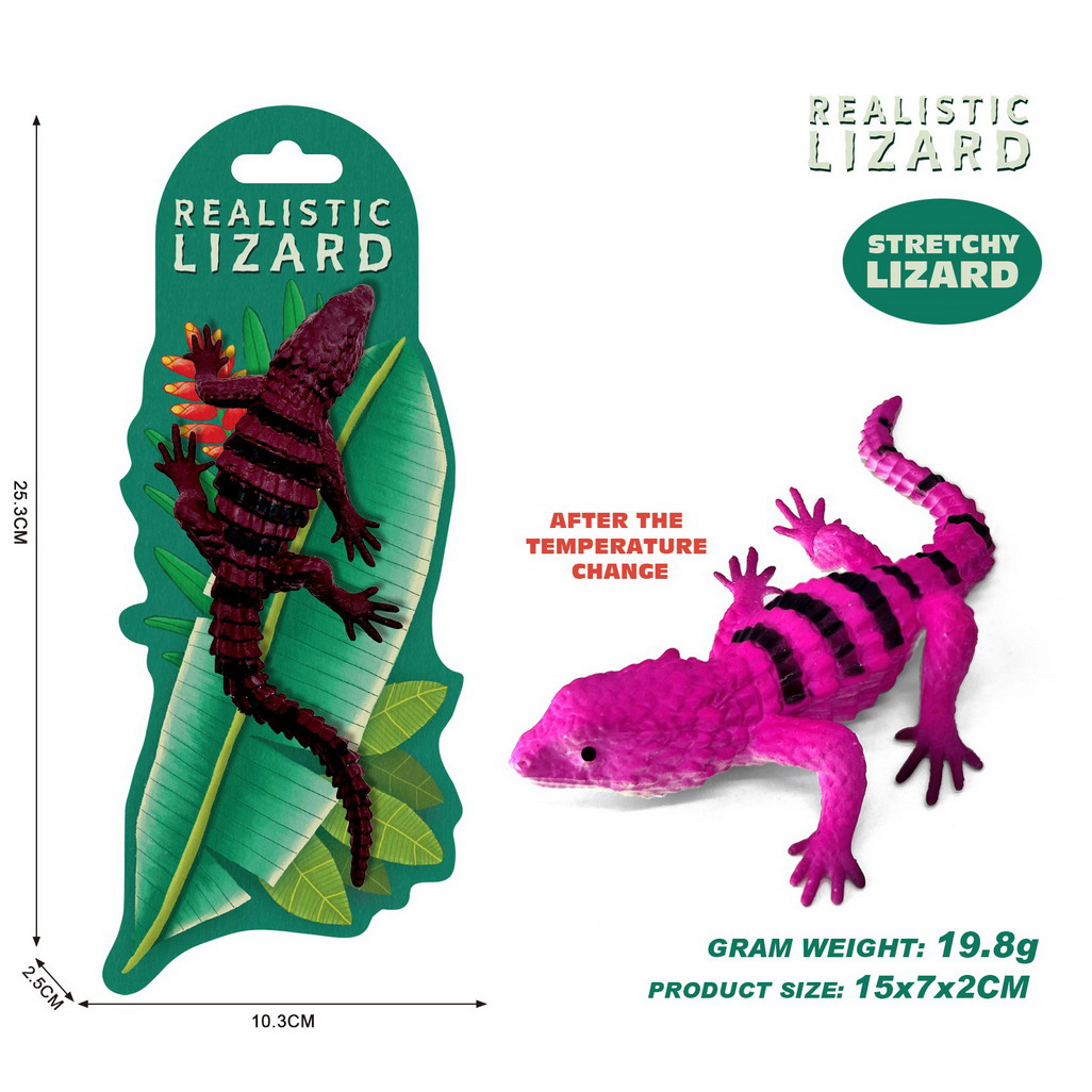 <img src='photo/Z/JZ124728.jpg'width='400' height='300'>