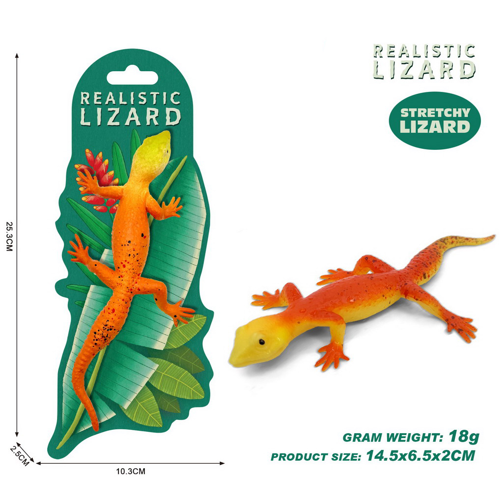 <img src='photo/Z/JZ124731.jpg'width='400' height='300'>