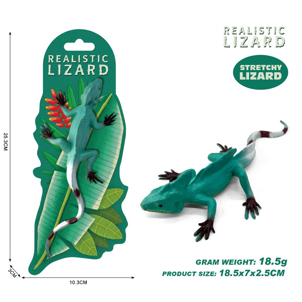 <img src='photo/Z/JZ124736.jpg'width='400' height='300'>