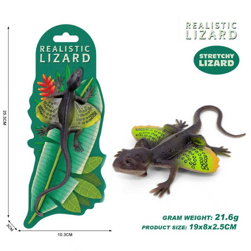 <img src='photo/Z/JZ124737.jpg'width='400' height='300'>