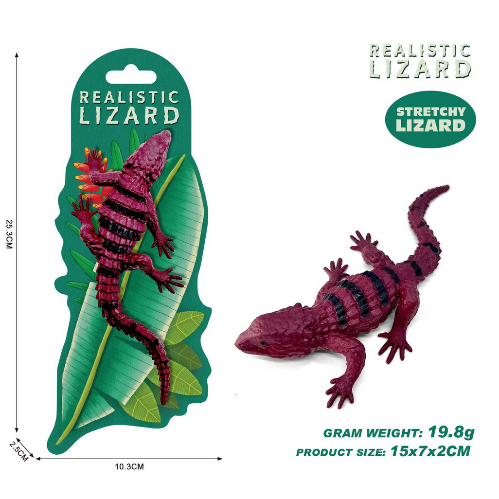 <img src='photo/Z/JZ124740.jpg'width='400' height='300'>