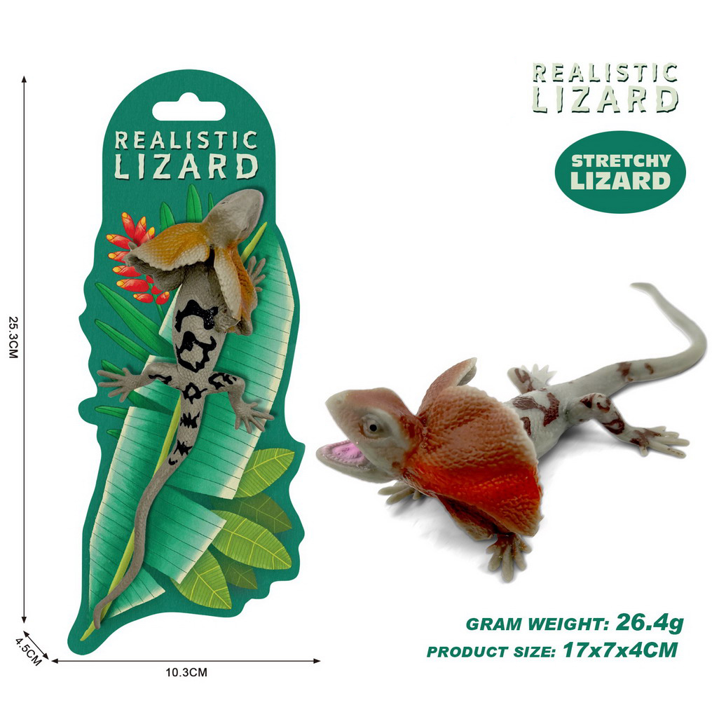 <img src='photo/Z/JZ124742.jpg'width='400' height='300'>