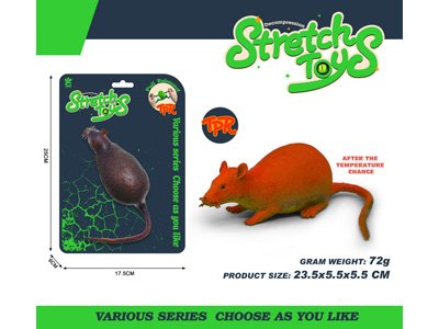 <img src='photo/Z/JZ126471.jpg'width='400' height='300'>