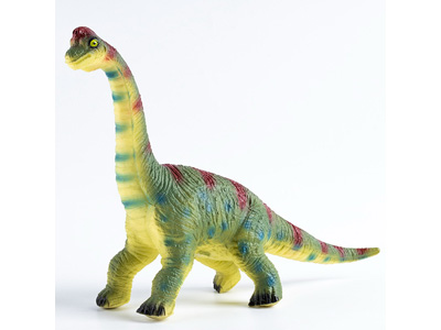 <img src='photo/Z/JZ126492.jpg'width='400' height='300'>