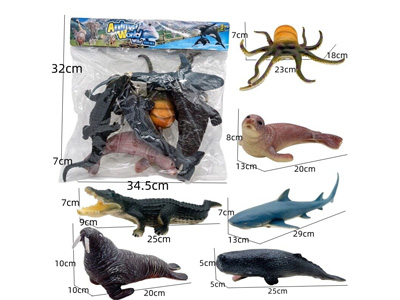 <img src='photo/Z/JZ126598.jpg'width='400' height='300'>