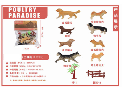 <img src='photo/Z/JZ126797.jpg'width='400' height='300'>