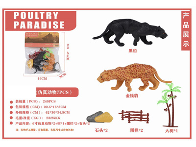 <img src='photo/Z/JZ126798.jpg'width='400' height='300'>