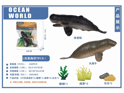 <img src='photo/Z/JZ126831.jpg'width='400' height='300'>