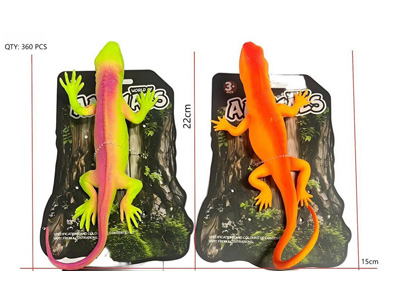 <img src='photo/Z/JZ127262.jpg'width='400' height='300'>