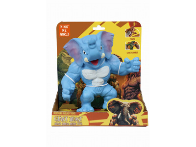 <img src='photo/Z/JZ127292.jpg'width='400' height='300'>