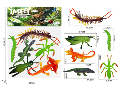 <img src='photo/Z/JZ127919.jpg'width='400' height='300'>