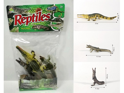 <img src='photo/Z/JZ128632.jpg'width='400' height='300'>