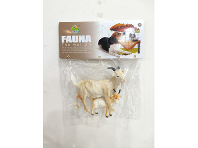 <img src='photo/Z/JZ128659.jpg'width='400' height='300'>