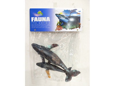 <img src='photo/Z/JZ128661.jpg'width='400' height='300'>