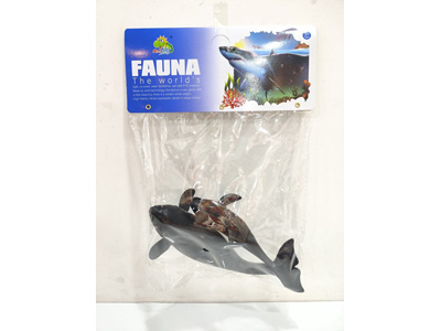 <img src='photo/Z/JZ128664.jpg'width='400' height='300'>